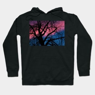 Sunset Pinks and Blues Hoodie